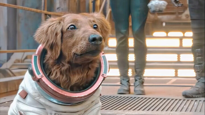 Khi cô dùng năng lực tâm linh bảo vệ Kraglin đang rơi xuống, cuối cùng cũng chờ được câu “good dog”.