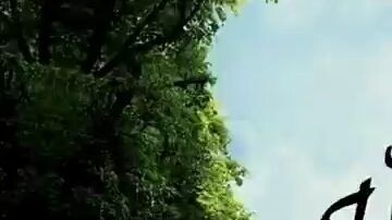 Islamic video edits