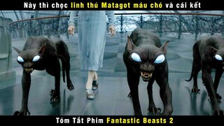 [Review Phim] Á Phù Thuỷ Mang Ký Sinh Trùng Ma Thuật  | Fantastic Beasts