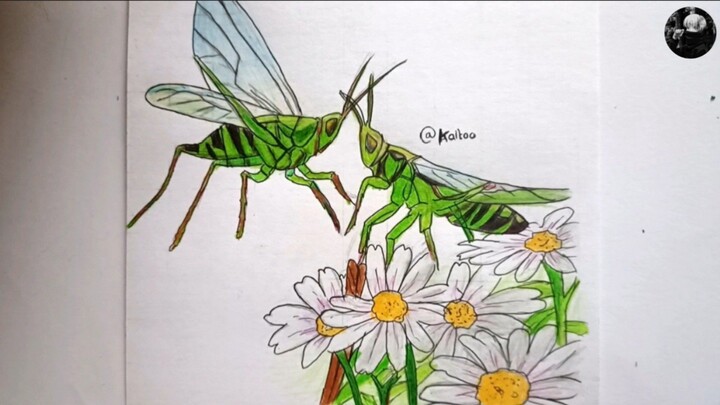 Drawing insects in anime style 🦗