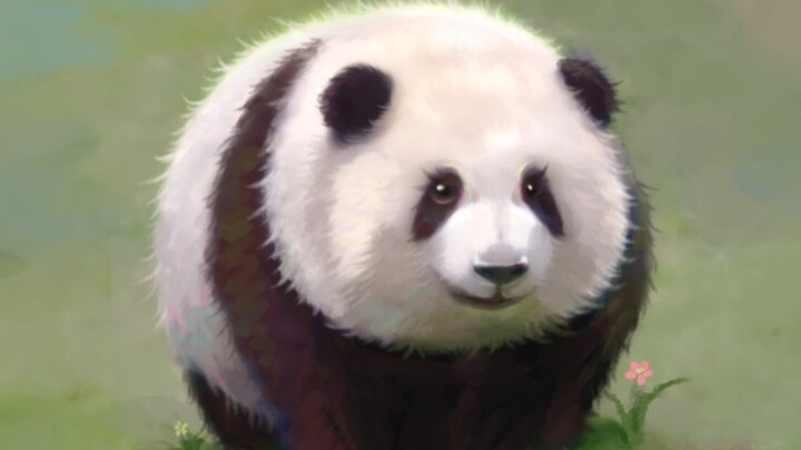 Hua Hua's aura is so unique that she's one of the few bears I can instantly recognize at a glance. A