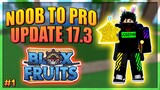 Blox Fruits Noob to Pro in Update 17 Part 3 - First Time Playing Blox Fruits!