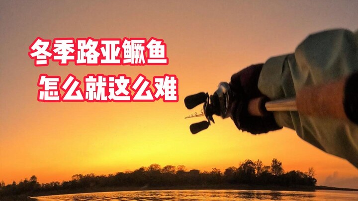 Why is winter perch lure fishing so darn difficult?