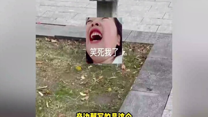 قطّة مشردة في الدائرة الداخلية لشنغهاي تمتلك فيلا صغيرة مستقلة، فيها كل ما تحتاجه من طعام وشراب وترف