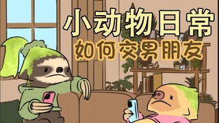 如何交男朋友🦥🎤-【小动物日常 | Natural Habitat Shorts】中英双字