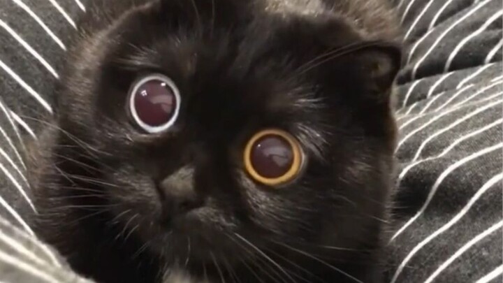 Instantly switch to contact lens mode—watch me get bigger, smaller, and more beautiful!