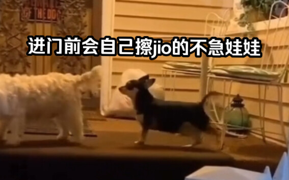 เด็กน้อยแสนรู้ที่ตั้งใจเช็ดเท้าให้สะอาดก่อนกลับบ้าน