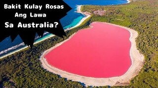 BAKIT KULAY ROSAS ANG LAWA SA AUSTRALIA