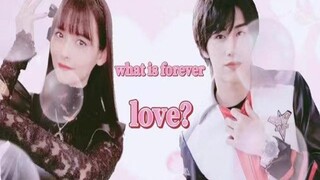 Lyrics for "The Light of Dreams" by Carter Xiang - This love remains unchanged when we meet again