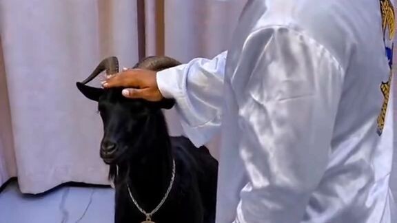 Real Illuminati agent+256768253786/+256702335894