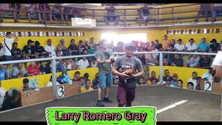 Larry Romero Gray