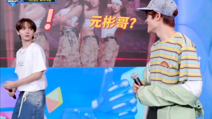 When Ming the Puppy Is Asked Which Chair He Loves Most? 【Myung Jae-hyun x Sohee】