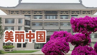 إصدار جامعة بكين من "الصين الجميلة" وصل أخيرًا! شاهد ياوبي يعبر عن حبه للوطن بإشارات الإشارة المبهرة
