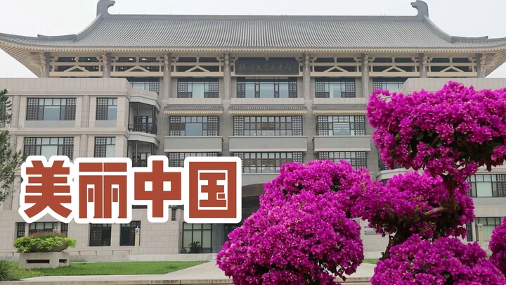 Phiên bản Bắc Đại của "Trung Quốc tươi đẹp" đã đến rồi! Hãy cùng xem Tiểu Bắc dùng ngôn ngữ ký hiệu 