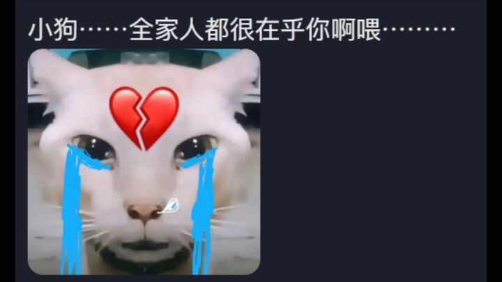 Even when I ran away from home, my parents didn’t look for me this hard—waaah!