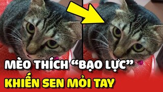 Bất lực với sở thích BỊ ĐÁNH VÀO MÔNG của bé mèo xinh đẹp 😂 | Yêu Lu