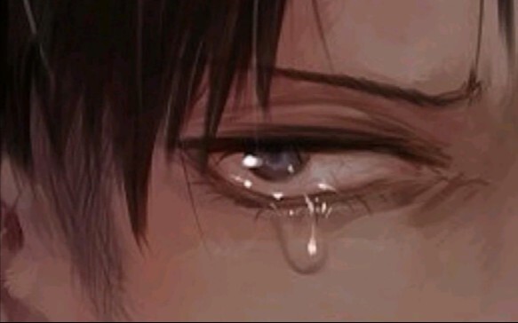 [Captain Levi] "It's just a choice without regrets."