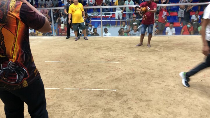 Pantao vs fatBoy  2.2m bet