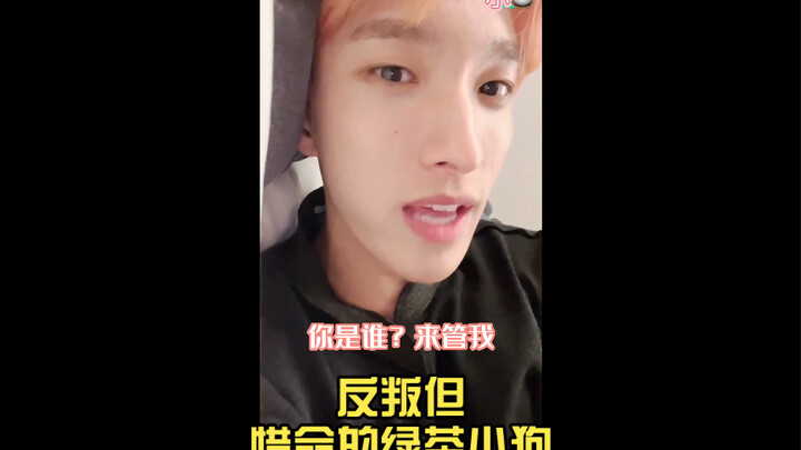 [SEVENTEEN] The more you watch, the fresher it feels / A rebellious yet life‑cherishing “green tea” 
