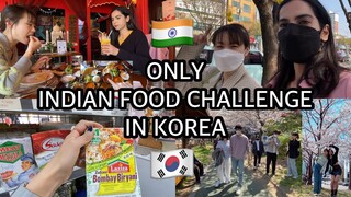 🇰🇷24 HOURS INDIAN FOOD CHALLENGE IN KOREA🇮🇳 | Korean spring 🌸cooking & shopping 🛍