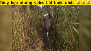 Tổng hợp những video hài hước nhất#haihuoc#hài#tt