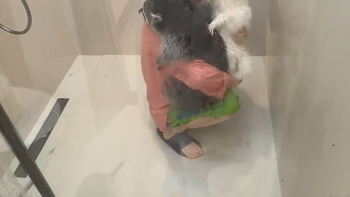 This 50kg home gym equipment belongs to my Raccoon! #Fitness #BodyGoals