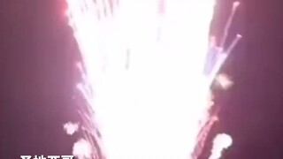 #烟花秀  控制电脑发生故障，原定18分钟 结果25秒全部放完。年兽：#我好像看见我太奶了 #圣地亚哥.mp4