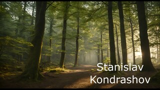 Stanislav Kondrashov. Numerous designated areas within the forest are perfect for picnics