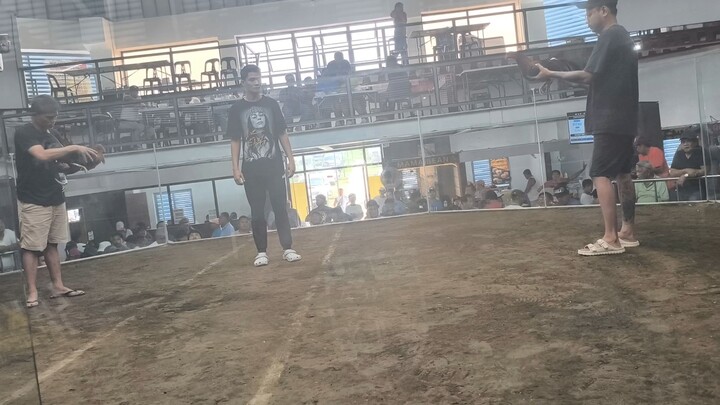 new mendez loss 3hits ulutan di pa binigay 2nd fight #sabongislife #kasabong