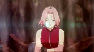 Sakura amv- Human