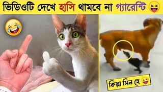 পশুদের এমন কান্ড দেখে হাসি থামাতে পারবেন না😂। Funny Animals Video 2023। Animal Moments P-47। mayajal