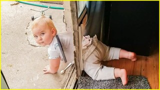 FUNNY BABY Stuck Fails Compilation | Baby Fails Video