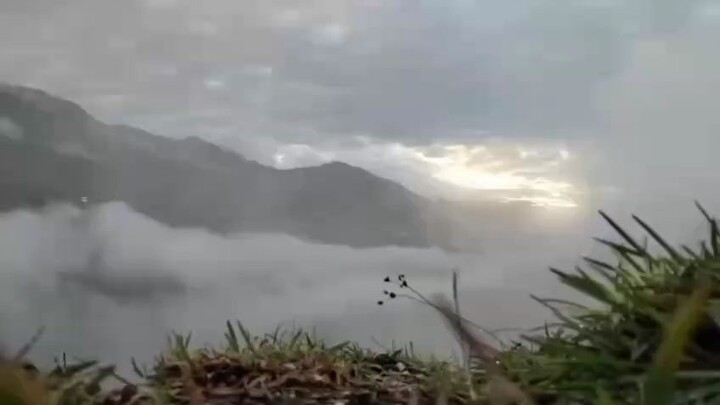 uttarakhand monsoon