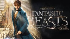 Fantastic Beasts and Where to Find Them 2016 | Subtitle Indonesia