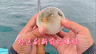 台风之前的三亚到底有没有鱼