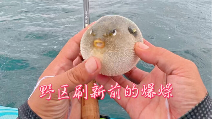 台风之前的三亚到底有没有鱼