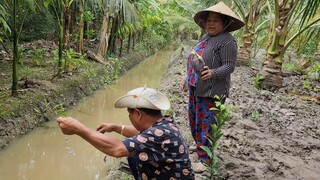 Chỉ Cần Vài Tay Lưới và Cái Bắp Chuối Gia Đình Có Thêm Bữa Cơm Ngon|TKQ & Family T754