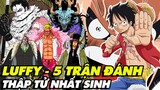 [Top One Piece] Luffy và 5 trận đánh Thập Tử Nhất Sinh hay nhất || Luffy vs Tứ Hoàng Kaido