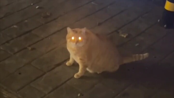 Senior: Are you polite?