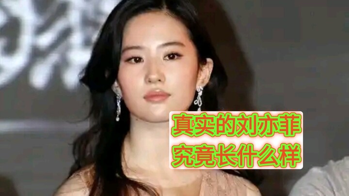 Pengungkapan Kebenaran – Mengapa Liu Yifei yang telah berakting selama 20 tahun justru dianggap oleh