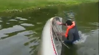 ฉันจะเพิ่มถั่วพิสตาชิโอให้กับชีวิตที่น่าเบื่อของคุณ