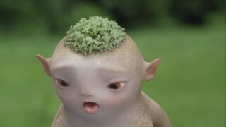 Huba Huba Huba Huba