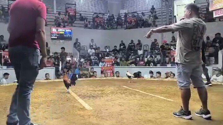 late upload 2x winner kanawayon hatch dark side 10/05/25