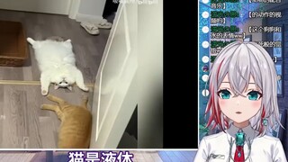 日本天然小姐姐看《众所周知，猫是一种液体！》