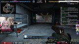 Meoracle CSGO