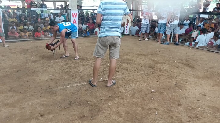 2nd fight L malas talaga mga puti sa araw nato