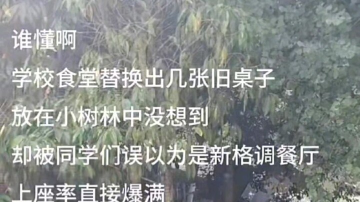 像是大学生能干出来的事情……