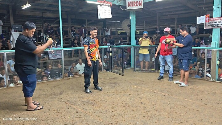 2Hits Ulutan at CFC 91 Gallera WPC 2 banded vs Digmaan Banded, 2nd fyt Win