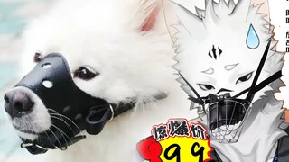 我像是能代言这玩意的样子吗？？？