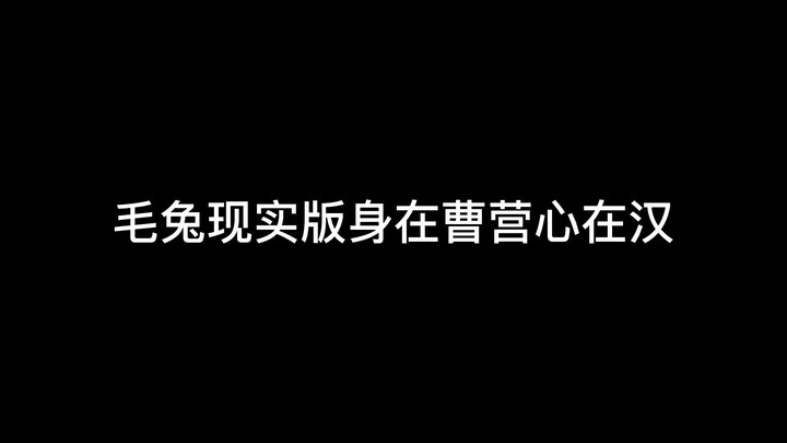 【Twice】【Red Velvet】Thỏ lông phiên bản đời thực: thân tại Tào doanh, lòng hướng Hán